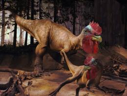 DeEvolutionDinoChicken